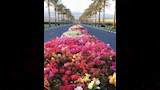 منتجعات جنوب سيناء