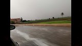 موجة أمطار تضرب الشرقية 