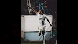  شيكو بانزا  (3)