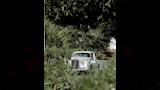 سامية أدم في حفل زفافها (5) (1)