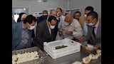 "من دودة القز إلى صناعة وطنية".. أول مركز قومي للحرير في الوادي الجديد (صور)