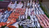 أسعار الاسماك