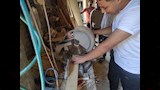 ياسين أول الدبلومات الفنية (1)