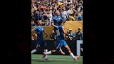 تشيلسي (4)