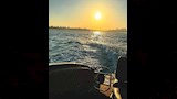 0c62c1a3-3217-43ff-9cfd-c06cff63ba02_11zon_11zon
