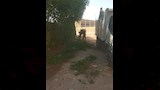 حملات نظافة (3)