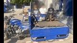 المتهمون