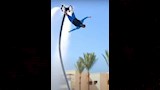 محمود عبد الغني (8)