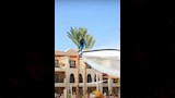 محمود عبد الغني (14)
