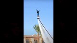 محمود عبد الغني (10)