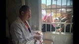 قافلة طبية مجانية (7)