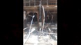 مصرع عامل في حريق بـ3 مطاعم بالخصوص (6)