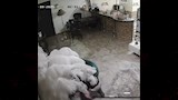 هدير عبد الرازق