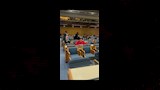 المؤتمر الوزاري الأفريقي للبيئة (AMCEN) 