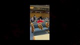 المؤتمر الوزاري الأفريقي للبيئة (AMCEN) 