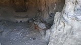 غرفة التماسيح