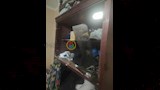 ضحية بولاق الدكرور (7)_10
