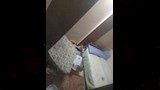 ضحية بولاق الدكرور (12)_15