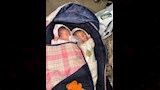 طفلين توأم حديثي الولادة