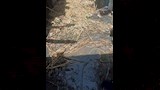 حرائق برخيل