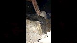 محافظة الجيزة