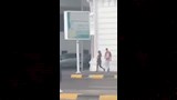 التعدي على فتاة الإسكندرية (4)