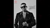 عمرو دياب (2)