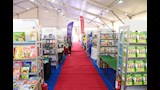 الإسكندرية تحتفي بعودة معرض الكتاب (7)