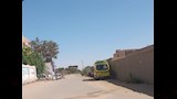 لجان الثانوية في الوادي الجديد (3)