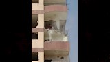 إزالة عقار مائل بشارع مصر حلوان الزراعي 