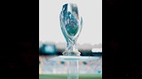 مجسم كأس السوبر الأوروبي (1) (1)