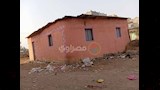 مركز شباب بكفر الشيخ يتحول لأطلال تسكنها القوارض (2)