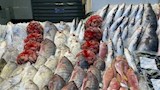 أسعار الأسماك                                     