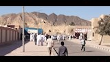 التوافد على اللجان 