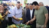 محافظ الإسماعيلية يتفقد بازار المانجو بالقرية الأوليمبية   