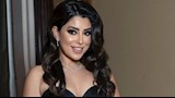 الفنانة آيتن عامر