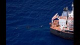 أكثر من 90 مهاجرا عالقا في سفينة شحن نفطية وسط الب