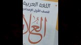 ظهور شيكابالا في كتاب خارجي (4)_7
