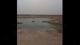 بحيرة تظهر فجأة في صحراء المنيا (5)_7