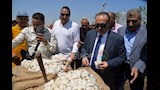 موسم جني القطن بمحافظة أسيوط 