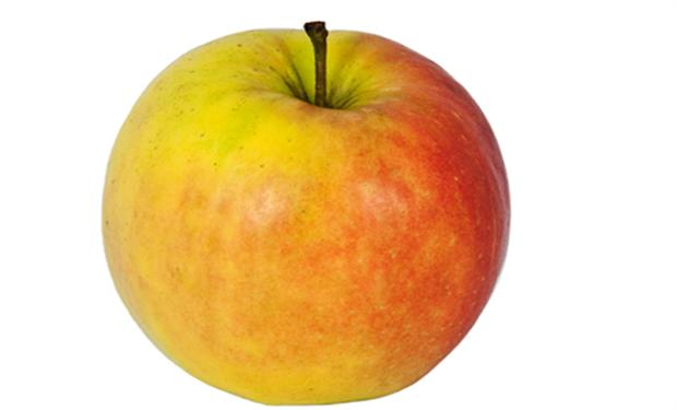 حساسية حبوب لقاح البتولا تتطلب تسخين الفواكه اللُبيّة قبل تناولها