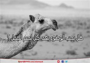هل يجب الوضوء بعد أكل لحم الجمل ؟
