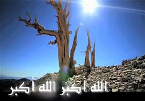 الأذان بصوت الشيخ سيد النقشبندى