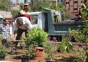 غرامة 1000 جنيه لقطع شجرة بالقاهرة