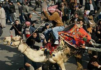 ''موقعة الجمل''.. ''بدائية'' العقول والأسلحة ''بروفايل''