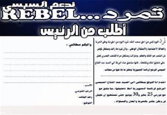 تمرد تدعم السيسي بالسيدة زينب باستمارات ''تمرد واطلب من الرئيس''