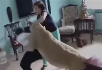 انثى النمر تهاجم شابا في منزله