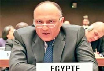 وزير الخارجية لسي إن إن: هناك صورة خاطئة عما يحدث في مصر