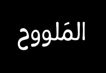 ''المَلووح''.. فيلم قصير يسخر من طريقة تصوير ''كلام على ورق''