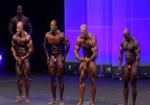 عرض المجموعات فى بطولة ''Arnold Classic Europe 2014 ''